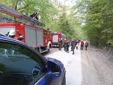 Maibaum_2016 (5).JPG